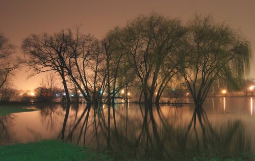 trees water lake
