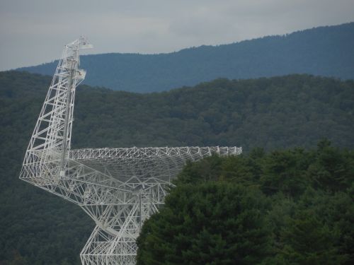 trees radio telescope radio