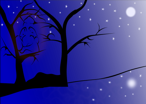 trees night moon