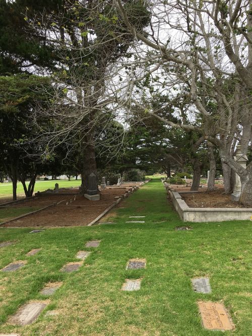 trees path graves
