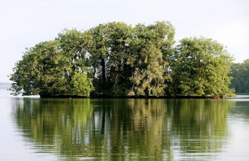 trees lake landscape