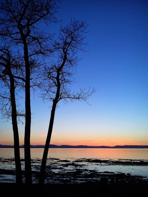 trees sunset river