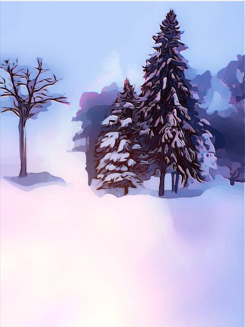 trees  snow  evergreens