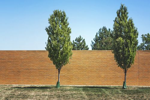 trees park wall