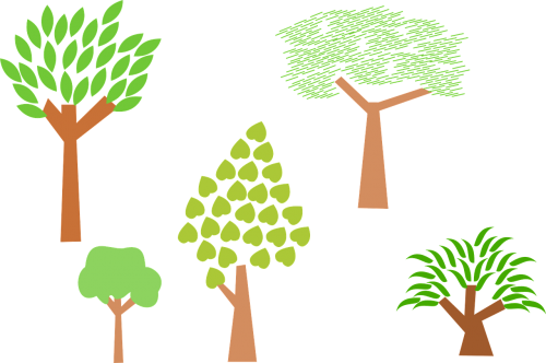 trees plants nature