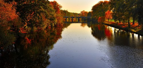 trees  river  water