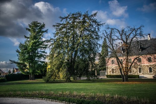 trees  park  castle