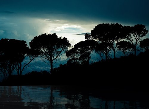 trees  clouds  reflection