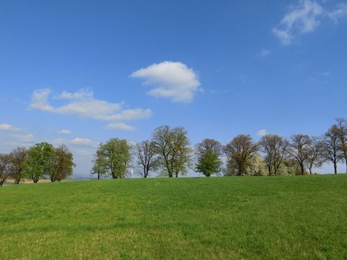 trees sky landscape