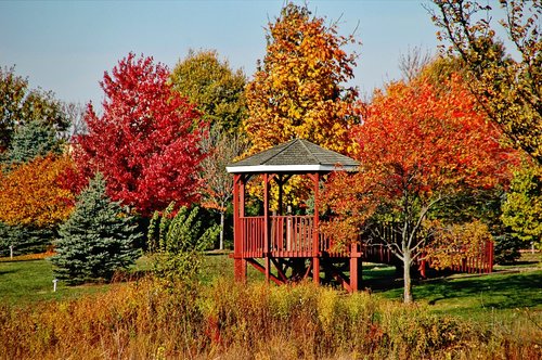 trees  gazebo  fall