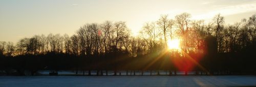 trees sunset winter