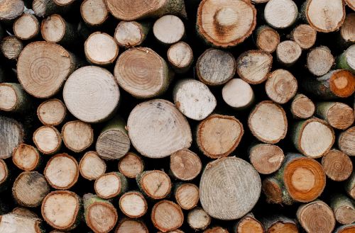trees lumber timber