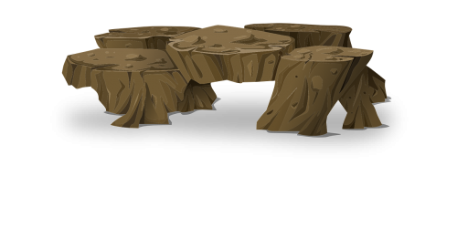 trees trunks stumps