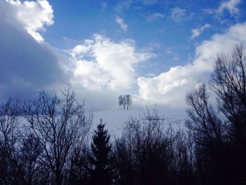 trees nature clouds