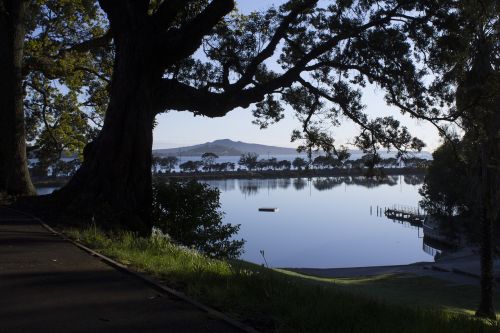 trees park estuary