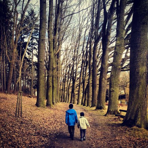 trees autumn children