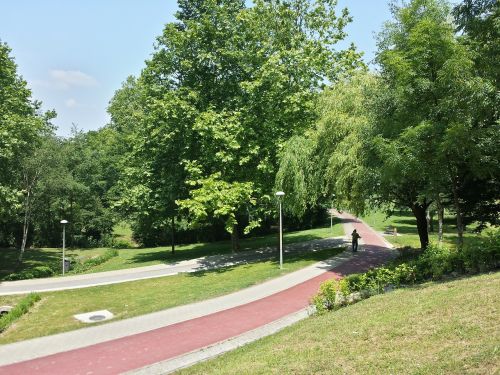 trees path nature