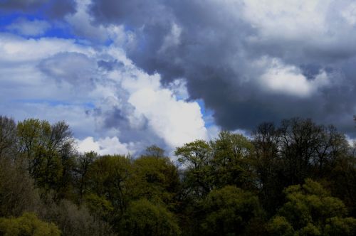 Trees And Clouds From Neva River