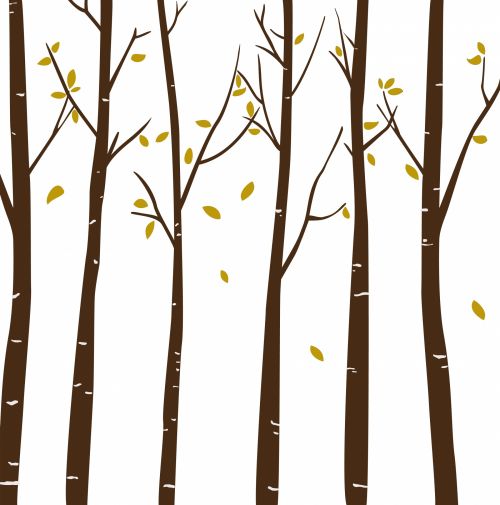 Trees, Forest Illustration