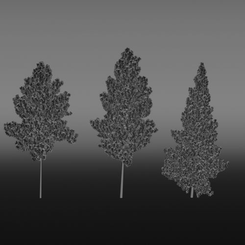 Trees II