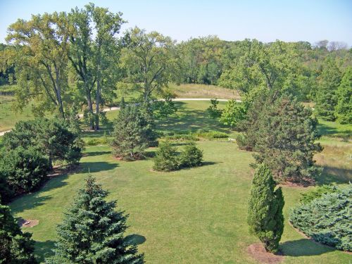 Trees In Park