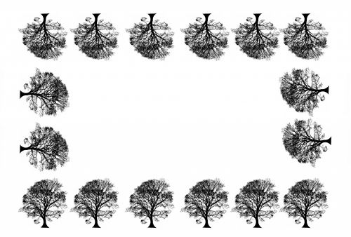 Trees Without Leaves