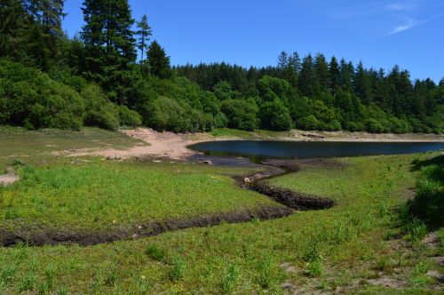 trenchford reservoir water