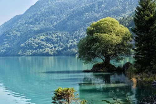 trentino  lake  nature