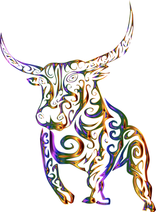 tribal bull cow
