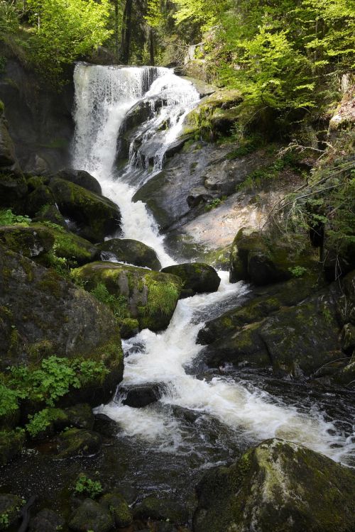 triberg waterfall nature