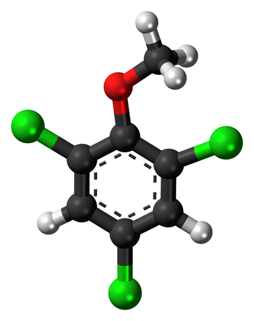 trichloroanisole tca aromatic