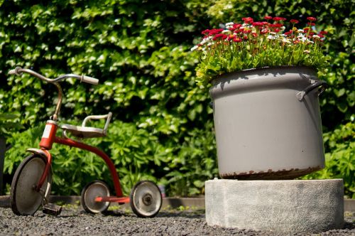tricycle pots flowers