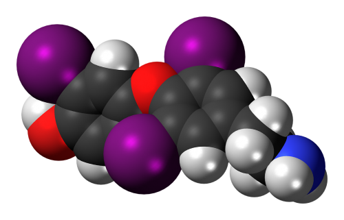 triiodothyronamine molecule chemistry