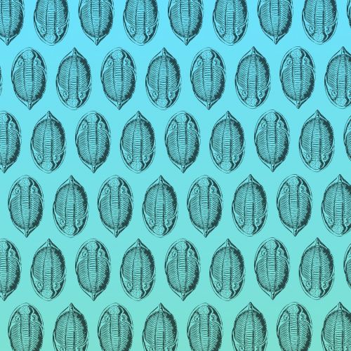 trilobite digital paper background