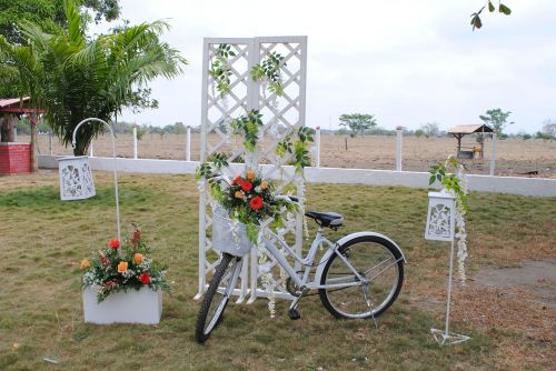 trim bicycle wedding