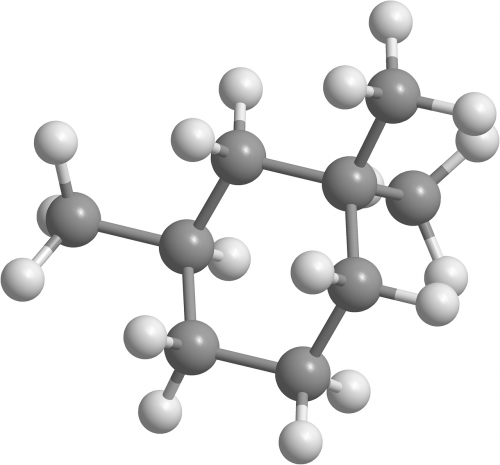 trimethylcyclohexane alkanes cicloalcanos