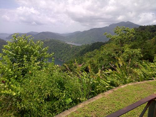 trinidad sea outdoors