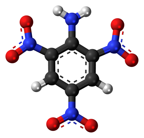 trinitroaniline explosive picramide