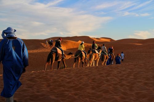 trip adventure camel caravan