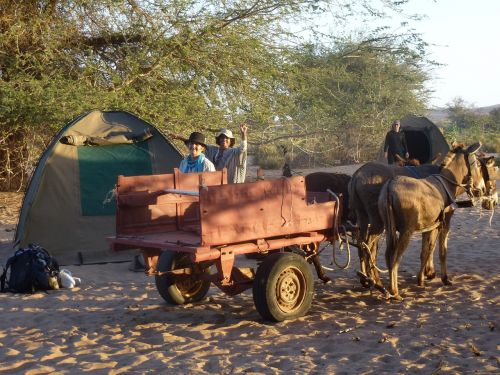 trolley landscape namibia