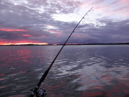 trolling fishing sunset