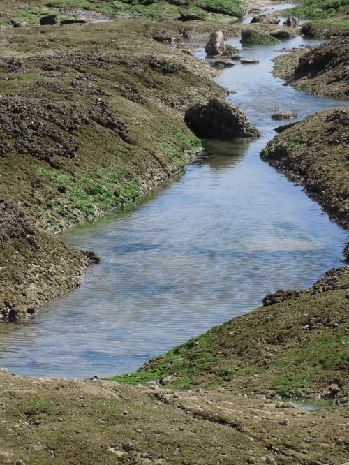 Sea Rock Pool