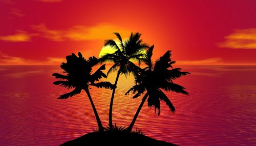 tropical sunset summer