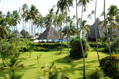 tropical zanzibar ocean paradise