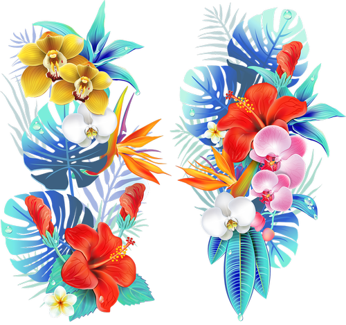 tropical  medellin  flowers