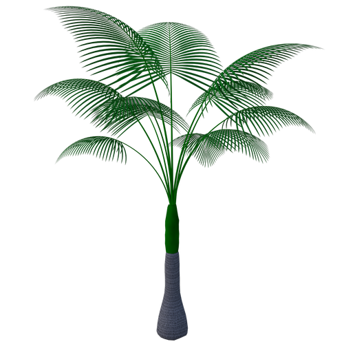 tropical  plant  tree