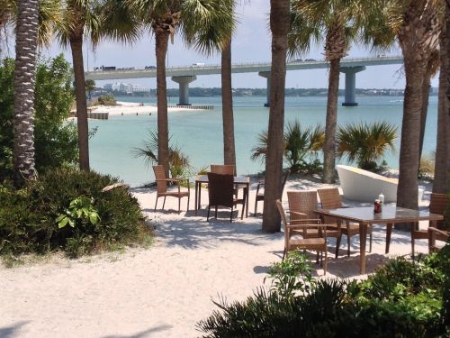 tropical palm trees beach