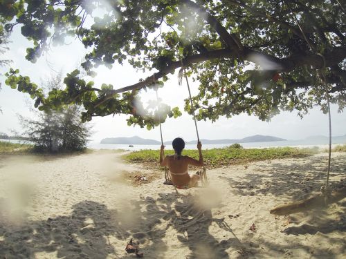 tropical beach swing tree