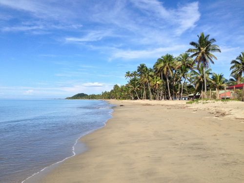 Tropical Beach