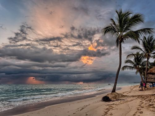 tropical beach sunrise palm trees